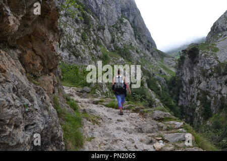 Scatto di foto in picos da Europa mountais Foto Stock