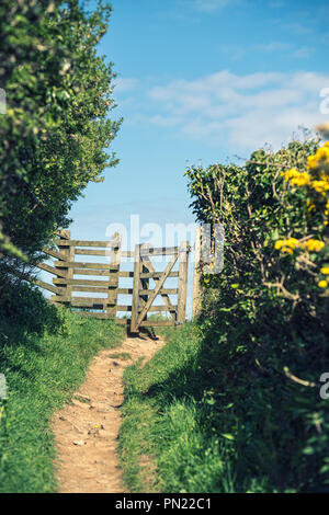 Baciare in legno cancello sulla costa sud-ovest il percorso nei pressi di Boscastle in Cornovaglia, England, Regno Unito Foto Stock