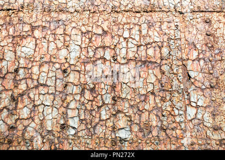 Rusty pannelli di acciaio su una vecchia nave, incrinato e strutturata con sfald vernice e rusty rivetti Foto Stock