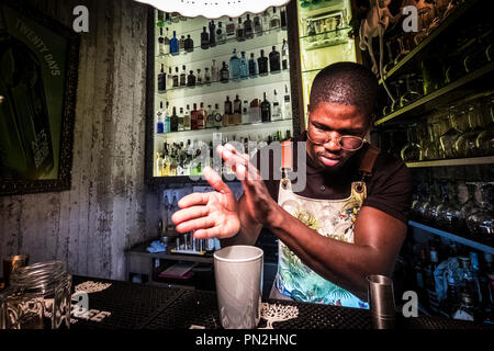 Alquimist rendendo il più delizioso Gin in città. Taberna Moderna. Lisbona, Portogallo Foto Stock