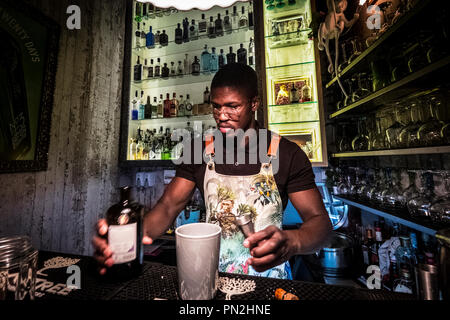 Alquimist rendendo il più delizioso Gin in città. Taberna Moderna. Lisbona, Portogallo Foto Stock