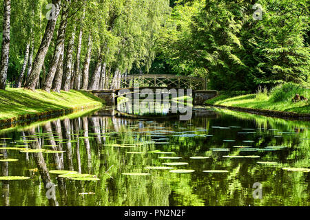 Bel ponte sopra il canale trasversale di Schwerin giardino del palazzo. Paesaggio di acqua. Foto Stock