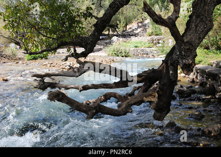 Montaggio munzur e parco nazionale Foto Stock