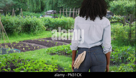 Vista posteriore del nero donna giardiniere che si affaccia su un giardino vegetale Foto Stock