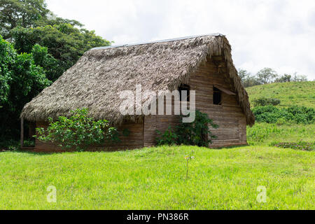 Essiccazione del tabacco capanna in Vinales, Cuba Foto Stock