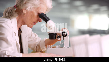 Profilo della vecchia donna scienziato guardando attraverso il microscopio in ambiente di laboratorio Foto Stock