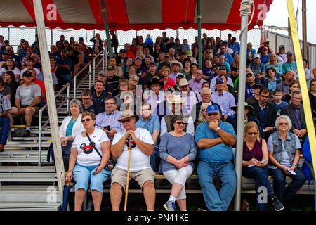 Hutchinson Kansas, USA, 8 settembre 2018 condurre una guerra di parole sul palco di fronte a centinaia di sostenitori chiassosa durante il dibattito Gubernatorial al Kansas State Fair Hutchinson Kansas, USA, 8 settembre 2018 candidato repubblicano alla carica di governatore Kris Kobach sostenitori pack lo stadio che mostra il supporto per il loro candidato scelto al Gubernatorial dibattiti presso la Fiera di stato Foto Stock