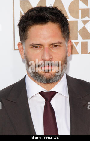 Joe Manganiello presso la Premiere Mondiale della Warner Bros Foto 'Magic Mike XXL" tenutasi presso la leva TCL Teatro Cinese a Hollywood, CA, 25 giugno 2015. Foto di Joe Martinez / PictureLux Foto Stock