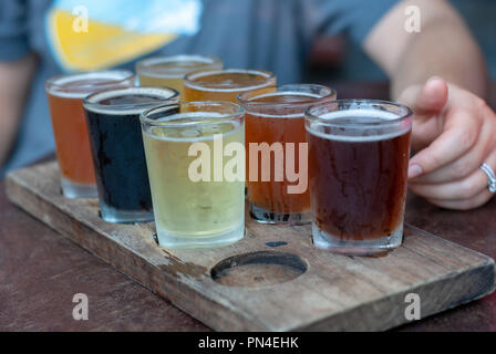 Volo di sette diverse birre servite in bicchieri piccoli su un vassoio in legno Foto Stock