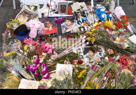 Il Teatro Apollo detiene un memoriale di Aretha Franklin in Harlem con: Aretha Franklin dove: la città di New York, New York, Stati Uniti quando: 19 Ago 2018 Credit: Marla Hernandez/WENN Foto Stock