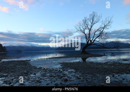 Il lago Wanaka, Nuova Zelanda Foto Stock
