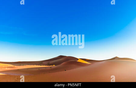 Il paesaggio del deserto del Sahara accanto a Mhamid in Marocco Foto Stock