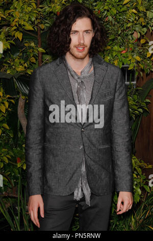 Hozier presso la Premiere Mondiale della Warner Bros Foto" "La leggenda di Tarzan" tenutasi presso il Teatro Dolby in Hollywood, CA, 27 giugno 2016. Foto di Joe Martinez / PictureLux Foto Stock