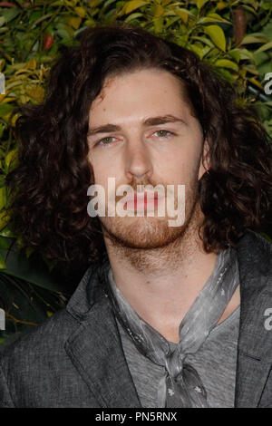 Hozier presso la Premiere Mondiale della Warner Bros Foto" "La leggenda di Tarzan" tenutasi presso il Teatro Dolby in Hollywood, CA, 27 giugno 2016. Foto di Joe Martinez / PictureLux Foto Stock