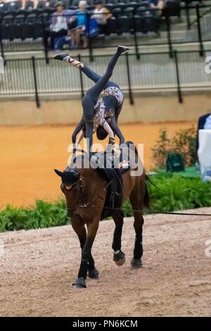 Tryon, California, Stati Uniti d'America. Xix Sett 2018. Vaulting.individuali e Nations Cup.Team GB. GBR. Giorno 8. Giochi equestri mondiali. WEG 2018 Tryon. Carolina del Nord. Stati Uniti d'America. 19/09/2018. Credito: Sport In immagini/Alamy Live News Foto Stock