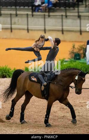 Tryon, California, Stati Uniti d'America. Xix Sett 2018. Vaulting.individuali e Nations Cup.Team GB. GBR. Giorno 8. Giochi equestri mondiali. WEG 2018 Tryon. Carolina del Nord. Stati Uniti d'America. 19/09/2018. Credito: Sport In immagini/Alamy Live News Foto Stock