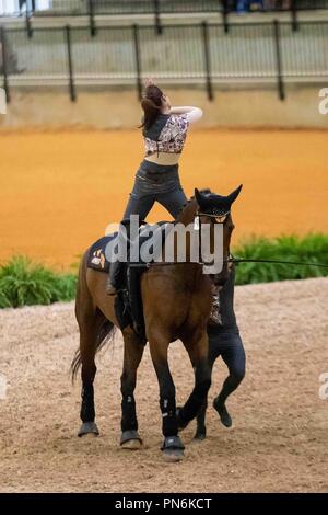 Tryon, California, Stati Uniti d'America. Xix Sett 2018. Vaulting.individuali e Nations Cup.Team GB. GBR. Giorno 8. Giochi equestri mondiali. WEG 2018 Tryon. Carolina del Nord. Stati Uniti d'America. 19/09/2018. Credito: Sport In immagini/Alamy Live News Foto Stock