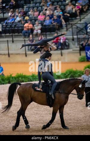 Tryon, California, Stati Uniti d'America. Xix Sett 2018. Vaulting.individuali e Nations Cup.Team GB. GBR. Giorno 8. Giochi equestri mondiali. WEG 2018 Tryon. Carolina del Nord. Stati Uniti d'America. 19/09/2018. Credito: Sport In immagini/Alamy Live News Foto Stock