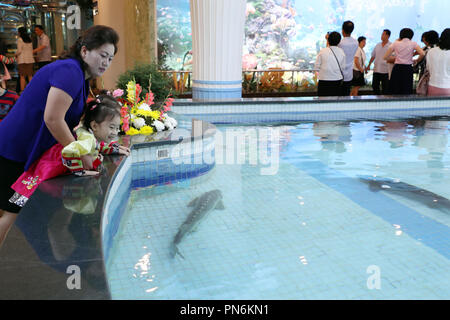 Vertice intercoreano, Sep 19, 2018 : nord coreani a Taedonggang ristorante di pesce a Pyongyang, la Corea del Nord. Solo uso editoriale Credito: Pyeongyang Premere Corps/Piscina/AFLO/Alamy Live News Foto Stock