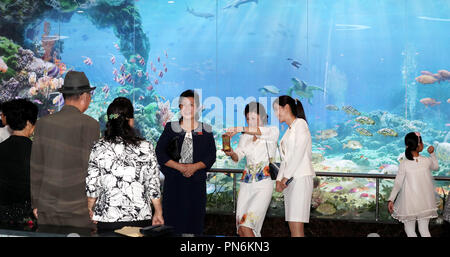 Vertice intercoreano, Sep 19, 2018 : nord coreani a Taedonggang ristorante di pesce a Pyongyang, la Corea del Nord. Solo uso editoriale Credito: Pyeongyang Premere Corps/Piscina/AFLO/Alamy Live News Foto Stock