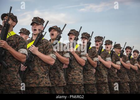 Parris Island, South Carolina, Stati Uniti d'America. Xix Sep, 2018. Reclute con India Company, 3a reclutare battaglione di formazione, preparare e mettere in pratica per la loro iniziale praticare una valutazione sulla parata Peatross Deck sett. 14, 2018 su Parris Island, S.C. Il trapano iniziale di prove di valutazione ogni plotone è la sua capacità di ascoltare gli ordini del suo istruttore di perforazione, ed è una dimostrazione del gruppo il grado di disciplina e di ESPRIT de Corps. (U.S. Marine Corps foto di Sgt. Dana Beesley) Marines americani via globallookpress.com Credito: Marines americani/Russo/Look ZUMA filo/Alamy Live News Foto Stock