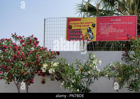 Creta, Greece-July 09, 2018: Banner di Gouves animal shelter che dice "Protezione e adattamento di animali randagi'. Foto Stock