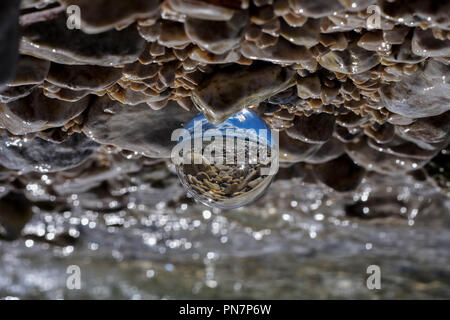 Palla di vetro seduto alla spiaggia rocciosa whit mare onda riflessa in esso/ immagine concettuale delle vacanze estive Foto Stock