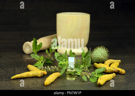 Basilico santo, curcuma, Datura frutta con olio a base di erbe e di mortaio di legno su sfondo scuro, un concetto di Ayurveda Foto Stock