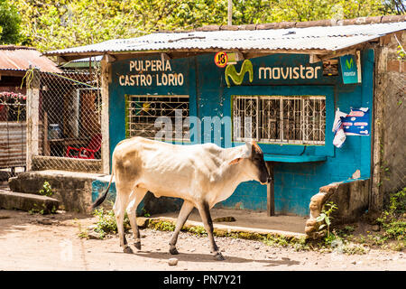 Leon Nicaragua. Marzo 2018. Una vista di una strada rurale sull isola di Ometepe in Nicaragua. Foto Stock