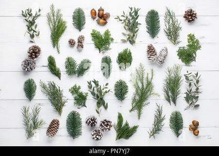 Ramo di abete e coni sul tavolo di legno Foto Stock