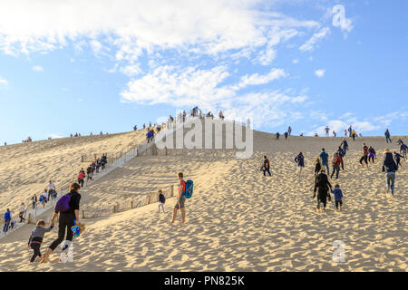 Francia, Gironde, Cote d'Argent, Parc naturel marin du Bassin d'Arcachon (Arcachon Bay Marine Parco Naturale), La Teste de Buch, Pyla sur Mer, Dune du Pi Foto Stock