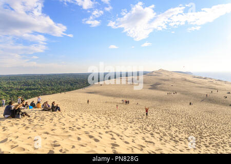 Francia, Gironde, Cote d'Argent, Parc naturel marin du Bassin d'Arcachon (Arcachon Bay Marine Parco Naturale), La Teste de Buch, Pyla sur Mer, Dune du Pi Foto Stock