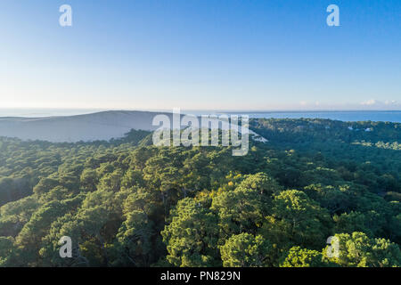 Francia, Gironde, Cote d'Argent, Parc naturel marin du Bassin d'Arcachon (Arcachon Bay Marine Parco Naturale), La Teste de Buch, Pyla sur Mer, Dune du Pi Foto Stock