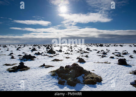 Lauskalavarda, una cresta di lava con la pietra di Cairns e lava vulcanica tumuli tra Vik e Kirkjubaejarklaustur vicino vulcano Katla nel sud dell'Islanda Foto Stock