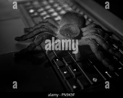 Nero ragno enorme tarantola sul notebook nero della tastiera del computer. Misterioso e pericoloso concetto. Foto Stock