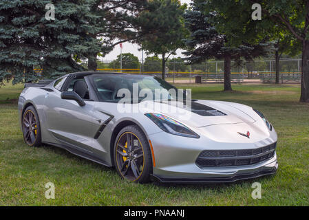 ROYAL OAK, MI/USA - Agosto 16, 2018: una Chevrolet Corvette alla Woodward crociera da sogno, il più grande del mondo un giorno di evento automobilistico. Foto Stock