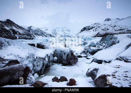 Chiudere mostrando lingua glaciale del ghiacciaio Svinafellsjokull una uscita del ghiacciaio Vatnajokull, Sud Islanda Foto Stock