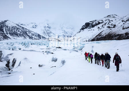 I turisti indossando indumenti protettivi per il Glacier escursione sul ghiacciaio Svinafellsjokull una uscita del ghiacciaio Vatnajokull, Sud Islanda Foto Stock