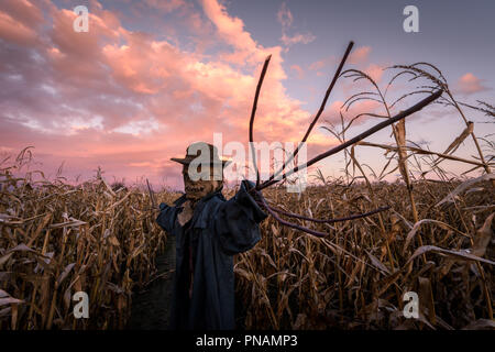 Scary spaventapasseri in un cappello Foto Stock