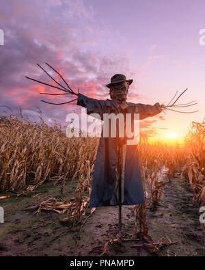 Scary spaventapasseri in un cappello Foto Stock