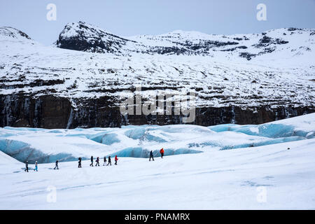 I turisti indossando indumenti protettivi per il Glacier escursione sul ghiacciaio Svinafellsjokull una uscita del ghiacciaio Vatnajokull, Sud Islanda Foto Stock