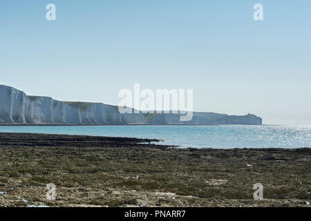 Testa di Seaford Naturue riserva, East Sussex, Inghilterra. Vista di chalk cliffs, parte di sette sorelle National Park in mattinata haze, percorso della Bea Foto Stock