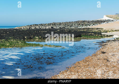Undercliff coast a piedi in Saltdean, East Sussex, vista mare in bassa marea, il fuoco selettivo Foto Stock