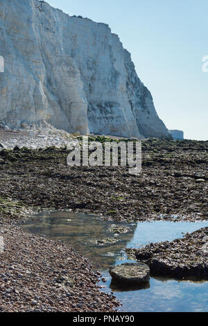 Undercliff coast a piedi in Saltdean, East Sussex, vista mare in bassa marea, il fuoco selettivo Foto Stock