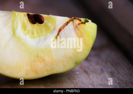 Una traccia di apple worms in apple. fonte di infezione di apple da parte del marciume bruno Monilia fructigena stampo sulla pelle di un marciume Foto Stock