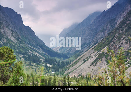 Bella estate montagna , Ala-archa national park a Bishkek, Kirghizistan Foto Stock