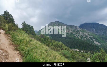 Bella estate montagna , Ala-archa national park a Bishkek, Kirghizistan Foto Stock