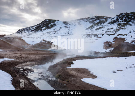 Hot Springs, fumarole e argilla mudpots a Seltun area geotermica a Krysuvik - Seltunshverir - Krysuv'kurhverir con sedimenti minerali su Reykjanes Foto Stock