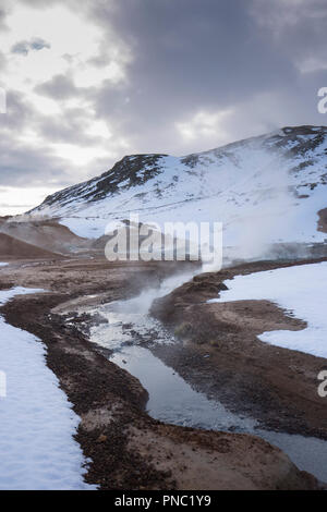 Hot Springs, fumarole e argilla mudpots a Seltun area geotermica a Krysuvik - Seltunshverir - Krysuv'kurhverir con sedimenti minerali su Reykjanes Foto Stock