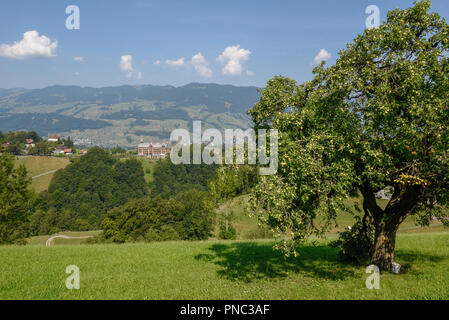 Paesaggio presso il villaggio di al Flüeli-Ranft nascita e luogo di vita del santo eremita Niklaus von Flüe sulle alpi svizzere Foto Stock